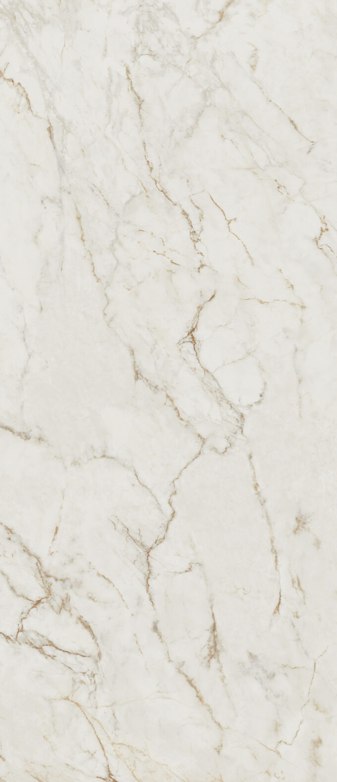 Roma Gold Calacatta Delicato - Image 2