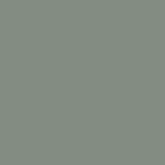 Saint Germain Olive