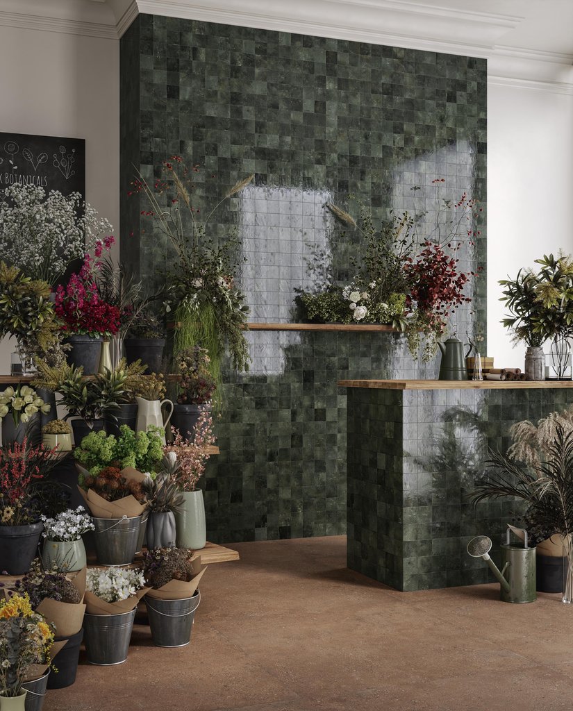 Duo Back Cotto - Image 2