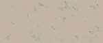 True Color Wind Flower - Image 4